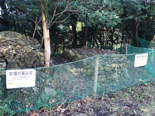 f:id:tmtmz:20201228231428j:image
