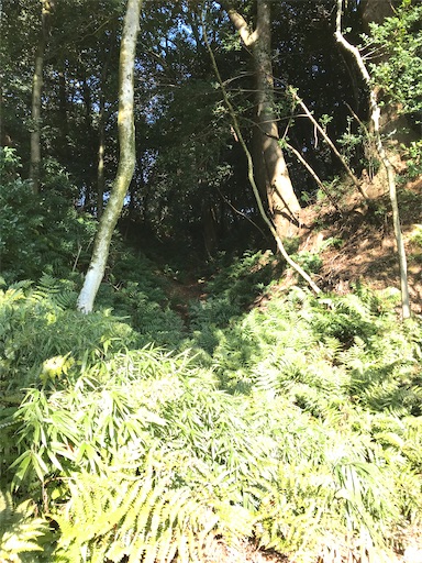 f:id:tmtmz:20201228231459j:image
