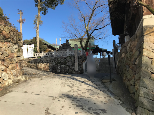 f:id:tmtmz:20210106224009p:image