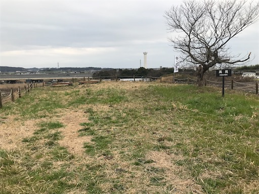 f:id:tmtmz:20210307200847j:image f:id:tmtmz:20210307200847j:image