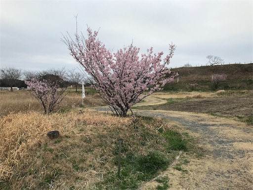 f:id:tmtmz:20210307200922j:image f:id:tmtmz:20210307200922j:image