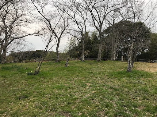 f:id:tmtmz:20210307201009j:image f:id:tmtmz:20210307201009j:image