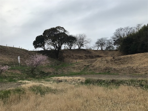 f:id:tmtmz:20210307201022j:image f:id:tmtmz:20210307201022j:image