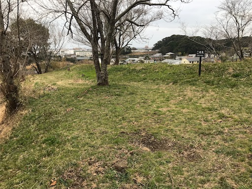 f:id:tmtmz:20210307201050j:image f:id:tmtmz:20210307201050j:image