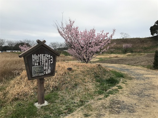 f:id:tmtmz:20210307201055j:image f:id:tmtmz:20210307201055j:image