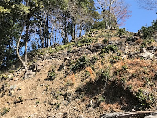 f:id:tmtmz:20210315185722j:image