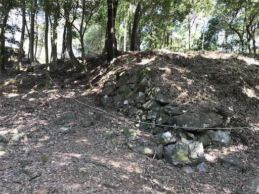 f:id:tmtmz:20210315185739j:image