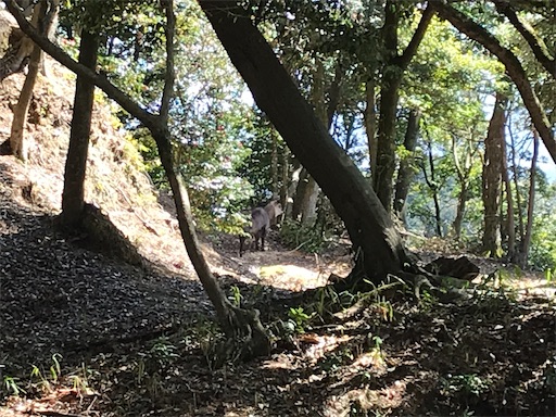 f:id:tmtmz:20210315185827j:image