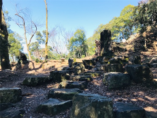 f:id:tmtmz:20210315185850j:image