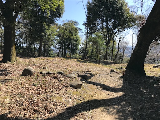 f:id:tmtmz:20210315185856j:image