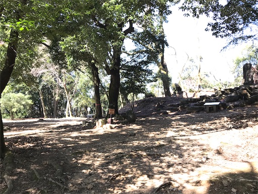 f:id:tmtmz:20210315185900j:image