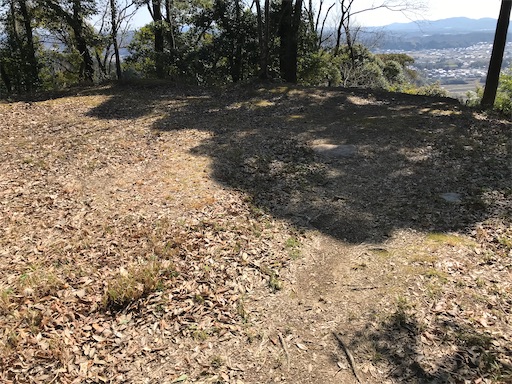 f:id:tmtmz:20210315185919j:image