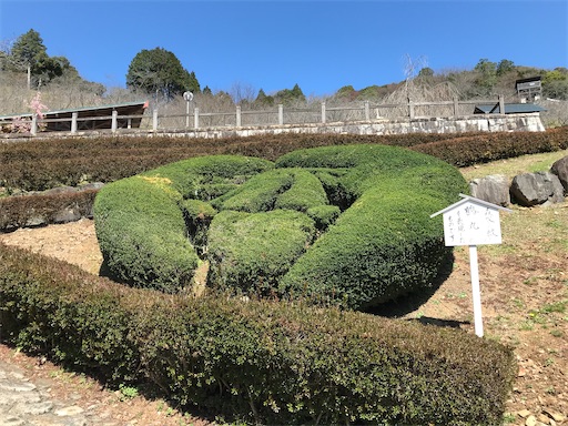 f:id:tmtmz:20210315185955j:image