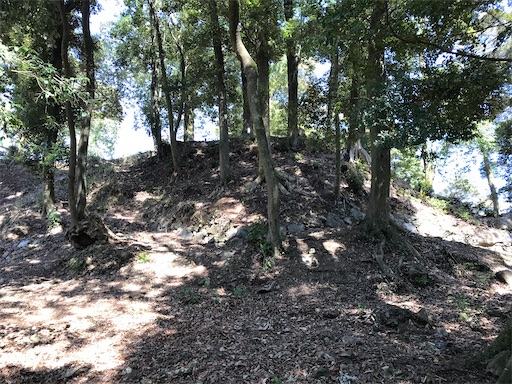 f:id:tmtmz:20210315190019j:image