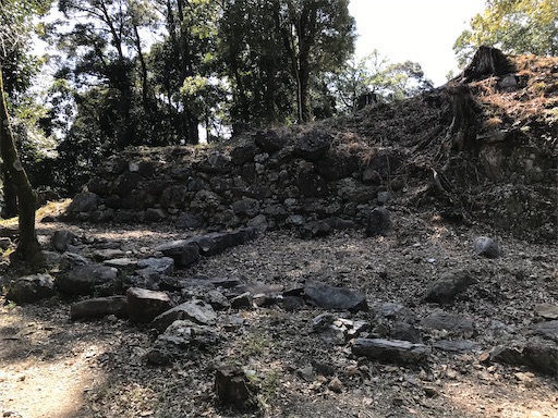 f:id:tmtmz:20210315190048j:image