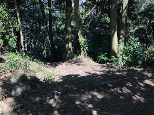 f:id:tmtmz:20210315190059j:image