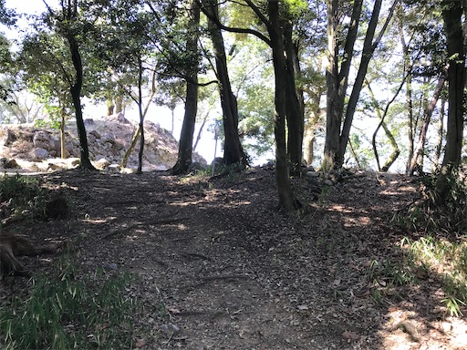 f:id:tmtmz:20210315190211j:image