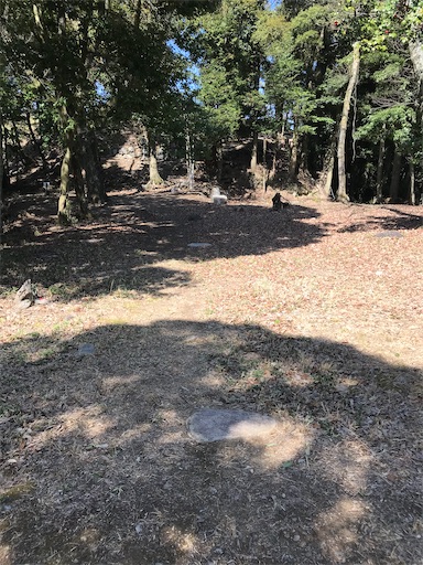 f:id:tmtmz:20210315190222j:image