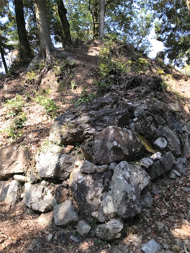 f:id:tmtmz:20210315190226j:image