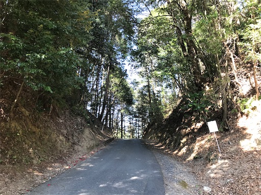 f:id:tmtmz:20210315190303j:image