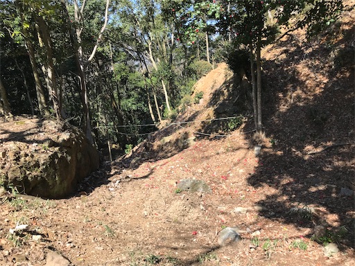 f:id:tmtmz:20210315190306j:image