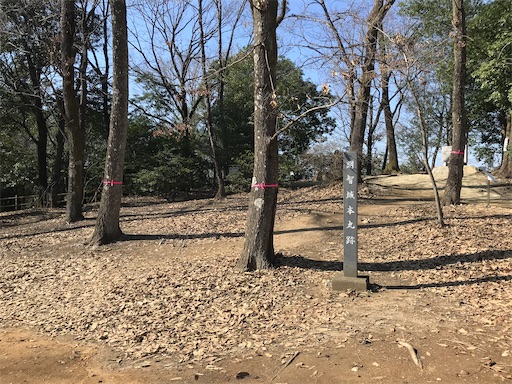 f:id:tmtmz:20210315190904j:image