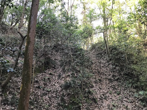 f:id:tmtmz:20210315190930j:image