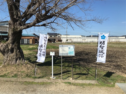 f:id:tmtmz:20210315190932j:image