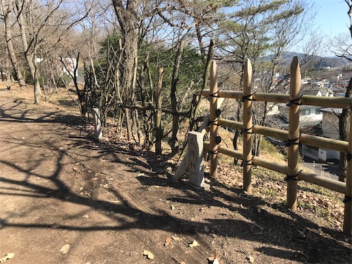 f:id:tmtmz:20210315190958j:image