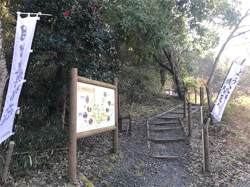 f:id:tmtmz:20210315191039j:image