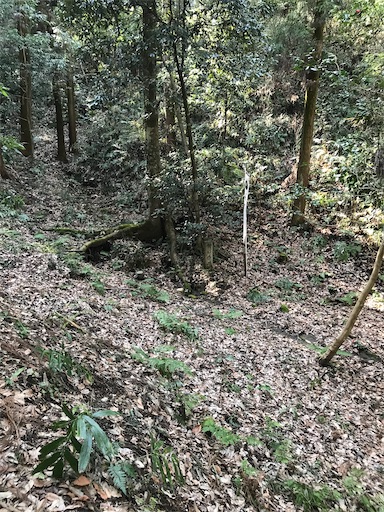 f:id:tmtmz:20210315191048j:image