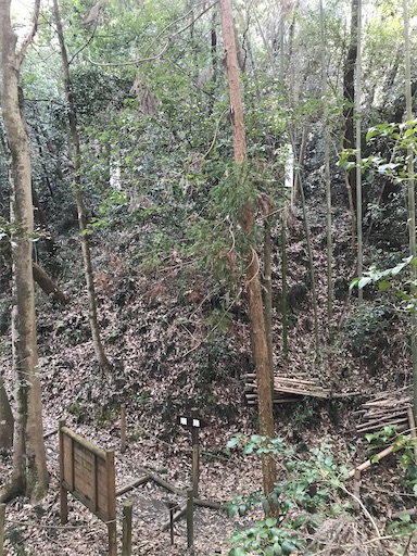 f:id:tmtmz:20210315191051j:image