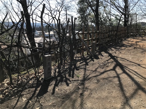 f:id:tmtmz:20210315191055j:image