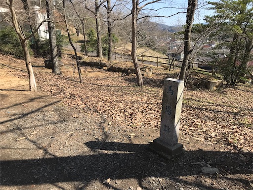 f:id:tmtmz:20210315191157j:image