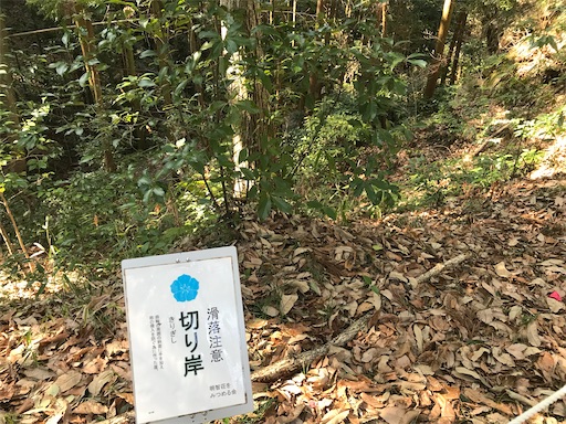 f:id:tmtmz:20210315191206j:image