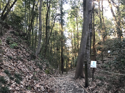 f:id:tmtmz:20210315191218j:image