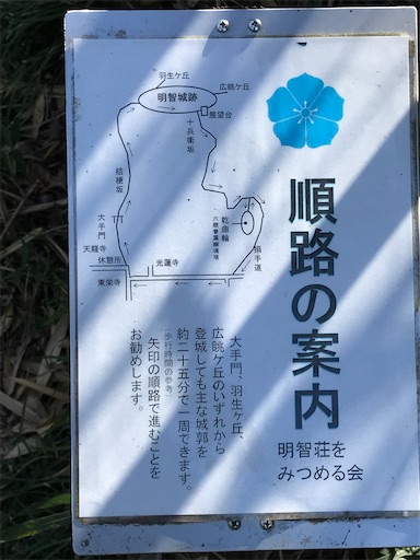 f:id:tmtmz:20210315191221j:image