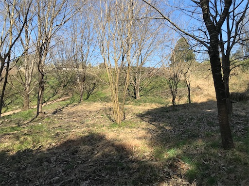 f:id:tmtmz:20210315191242j:image