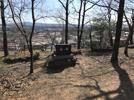 f:id:tmtmz:20210315191246j:image