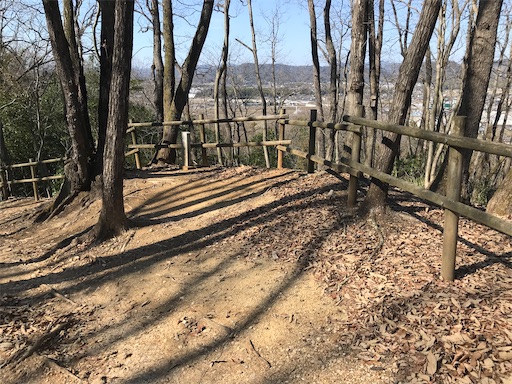 f:id:tmtmz:20210315191301j:image