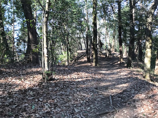 f:id:tmtmz:20210315191304j:image