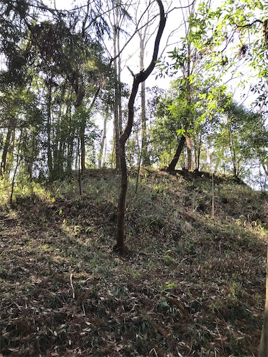 f:id:tmtmz:20210315191311j:image