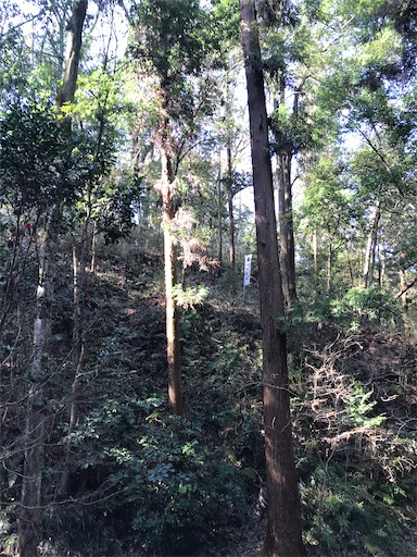 f:id:tmtmz:20210315191325j:image