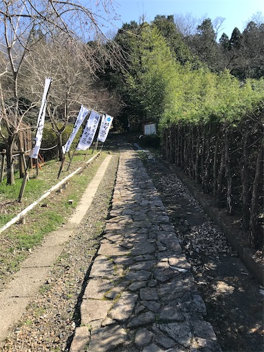 f:id:tmtmz:20210315191331j:image