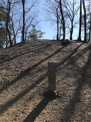 f:id:tmtmz:20210315191400j:image