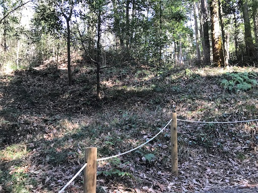 f:id:tmtmz:20210315191417j:image