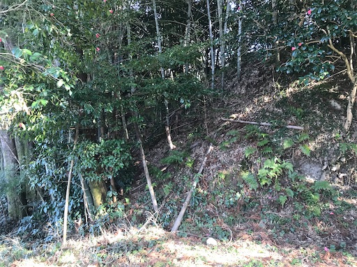 f:id:tmtmz:20210315191644j:image