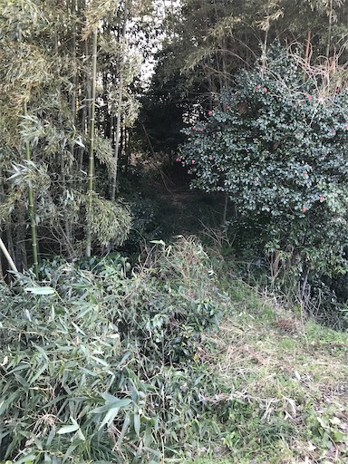 f:id:tmtmz:20210315191745j:image