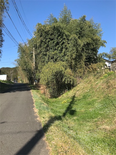 f:id:tmtmz:20210315191833j:image