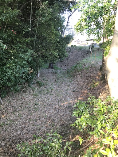 f:id:tmtmz:20210315191839j:image